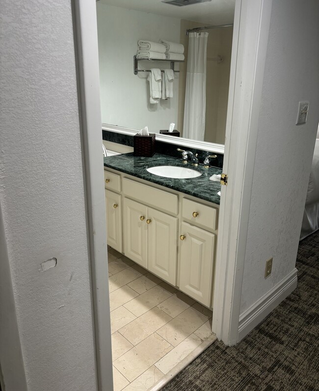 29130 Bay Hollow Dr Unit 3 Bedroom Condo, Zephyrhills, FL 33543