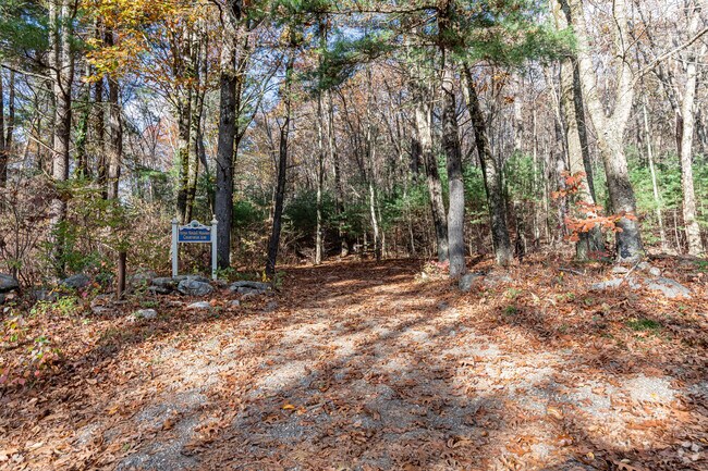 Palmer Kendall Mountain Conservation Area in Tolland has 74 acres of woodlands.