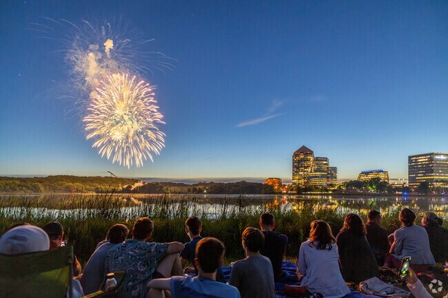 Fireworks Display at the Bloomington Summer Fete