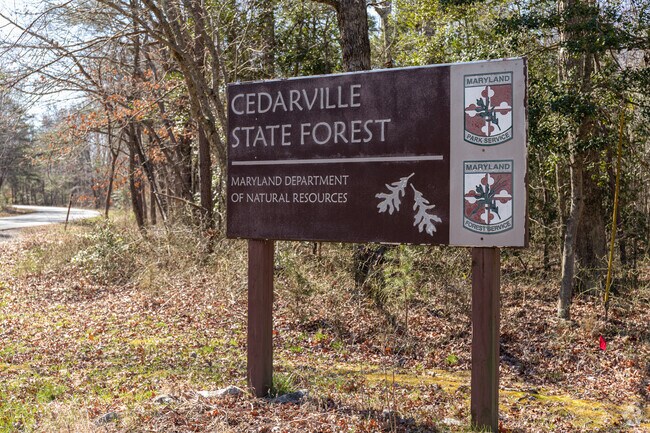 Cedarville State Forest has 19 miles of nature trails.