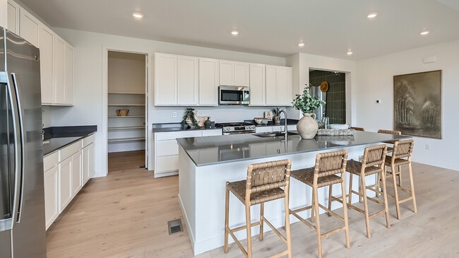 4001 Buttongrass Trail, Castle Rock, CO 80108 - photo 2