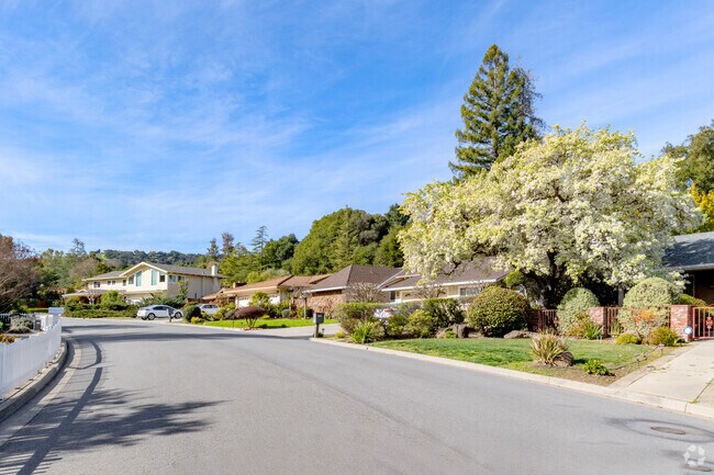 Arguello offers homes with stylish interiors and thoughtfully crafted exteriors.