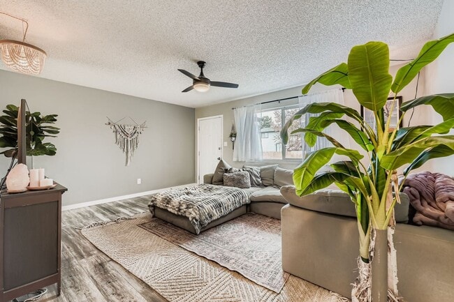 12960 Hazel Dr, Broomfield, CO 80020 - photo 4