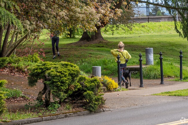 Take your puppy for a walk and enjoy the beautiful Mt. Tabor Park.