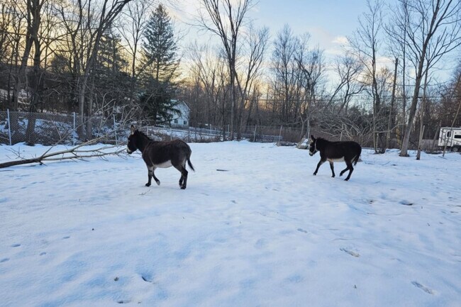 443 Clove Rd unit ID1366359P, Monroe, NY 10950 - photo 5