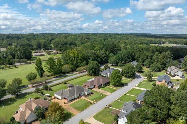 Take a walk on a beautiful summer day in Woodland Forrest.