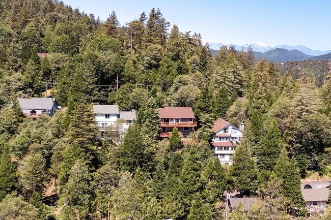 Alpine homes live in the forests of Crestline.