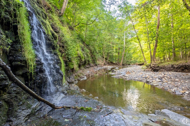 Explore the East Branch of Euclid Creek at Greenwood Farms in Richmond Heights.