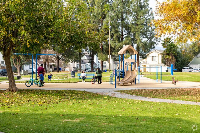 Vibrant autumn leaves carpeting a peaceful Clay Park trail.