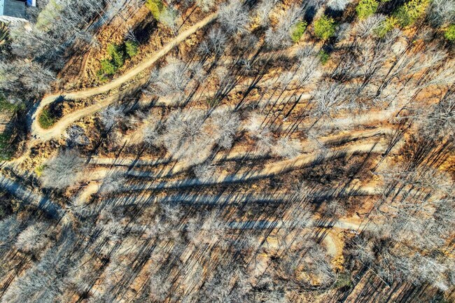 443 Clove Rd unit ID1366357P, Monroe, NY 10950 - photo 4