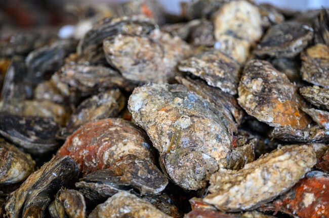 One of the greatest benefits of living by the Chesapeake in Poquoson West is the fresh seafood.