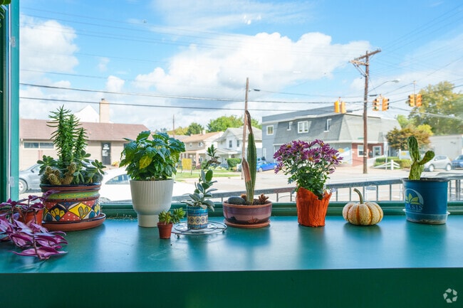 Say hello to the small plants that greet you as you enter Wheeling Coffee Shop in Pleasanton.