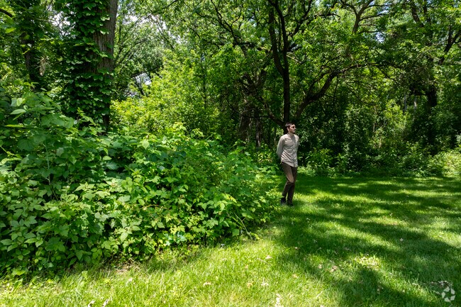 Residents of River Woods love exploring Riverwood's Park.