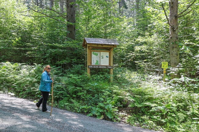 There are many hiking trails to explore at Charles Downer State Forest in Sharon.