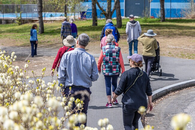 Meet new people and learn more about Watertown during your walk.