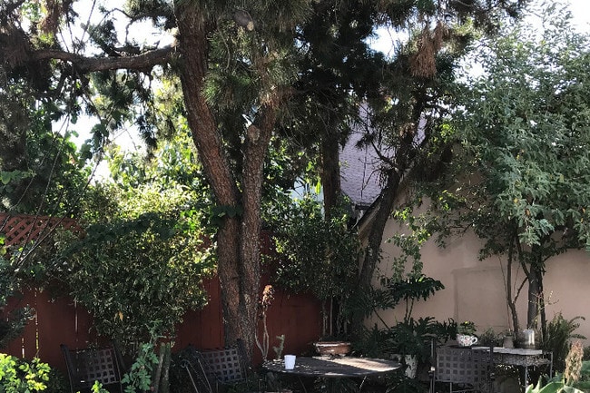 1237 N Detroit St unit 1239-3, Los Angeles, CA 90046 - photo 7