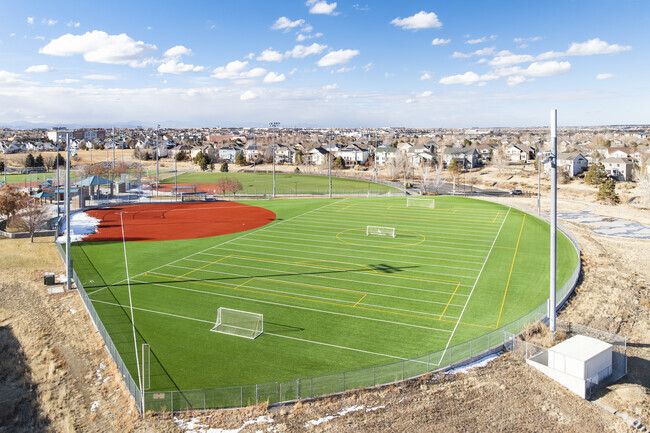 Gorgeous fields at Challenger Regional Park in Meridian Village, Lone Tree, Colorado.