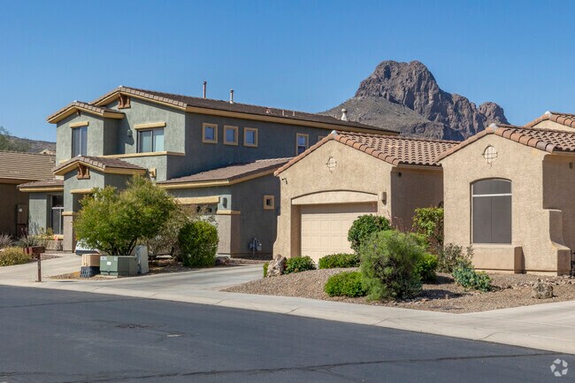 Spanish Revival homes in Ironwood Reserve are typically well maintained.