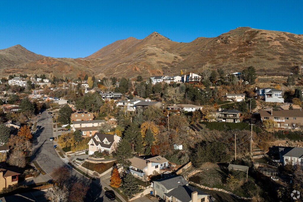 About Arcadia Heights Schools, Demographics, Things to Do