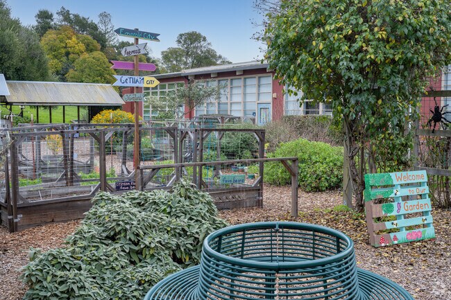 Valley Vista Elementary School offers a community garden experience for Petaluma students..