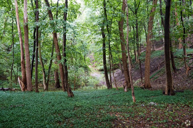 Pinnacle Hill is the highest peak in the city of Rochester.