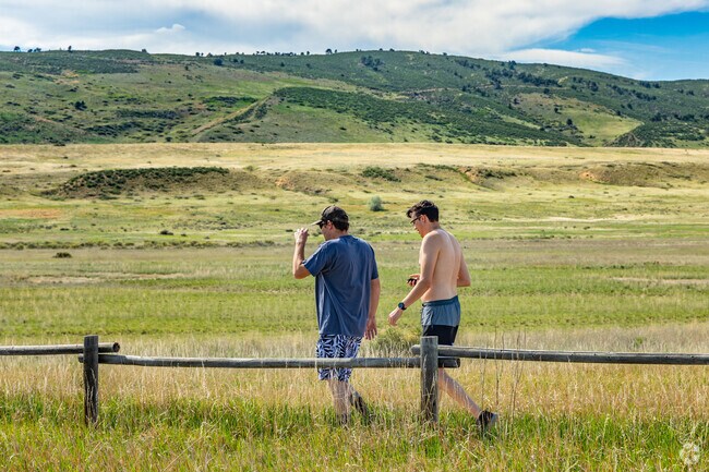 Take a long hike through the fields at Coyote Ridge Natural Area in Fort Collins.