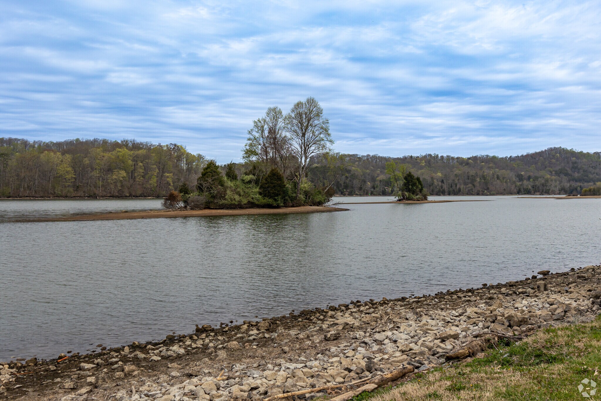 Melton Hill Lake shoreline