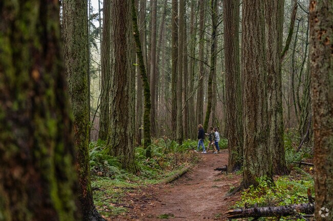 Residents enjoy walking at Hyland Forest Park in Beaverton, OR.