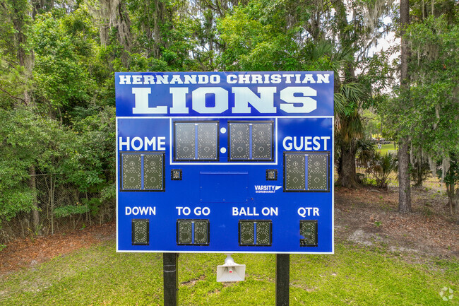Hernando Christian Academy's mascot is a lion.