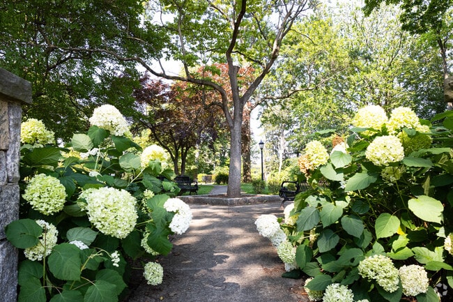Martha Emmons Weihman Memorial Park in Pelham Manor is full of lush trees and foliage.