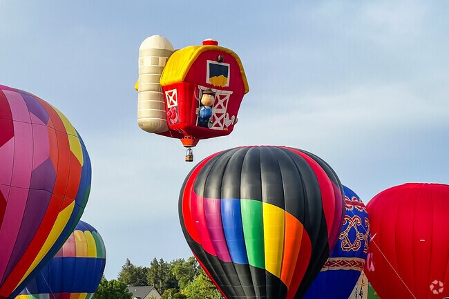 Balloons rise in the annual Spirit of Boise event near Vista.