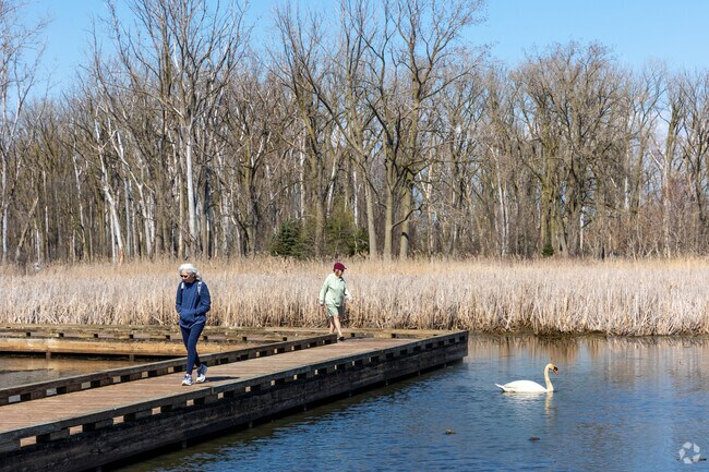 See the wildlife at Lake St. Clair Metropark in Harrison Township.