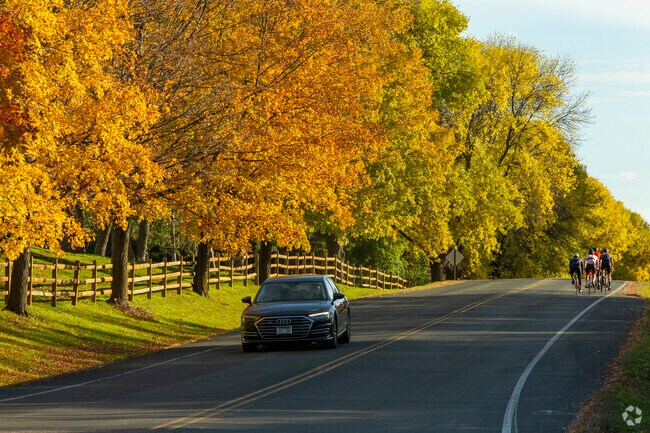 Bikers cruise past a row of colorful trees in Medina, MN.