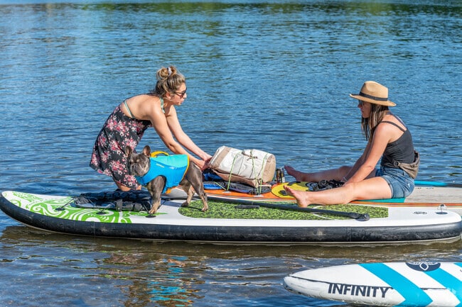 Paddleboard with your best friend in Orangevale.