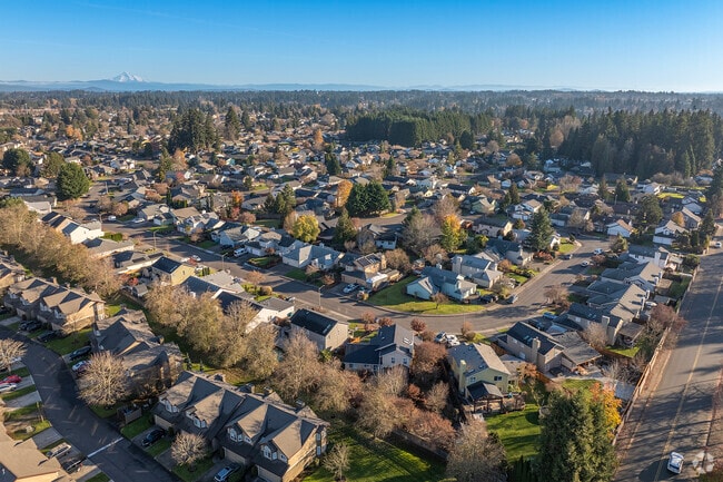 Knapp neighborhood in Vancouver features tree-lined streets and modern homes.