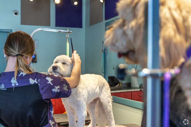 Local pups get their claws and paws done at Brookside Barkery and Bath.