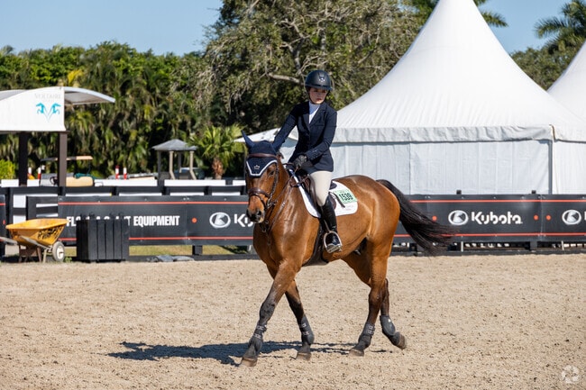 Residents with stables and farms are preparing their horses for the International Equestrian Race.