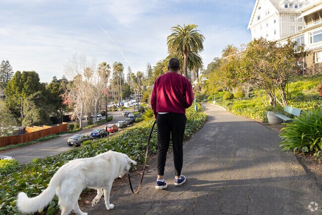 Claremont is the perfect place to take your dog for a relaxing walk through its tree-lined streets.