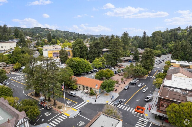 Downtown Mill Valley is the central meeting point for Blithedale Canyon residents.
