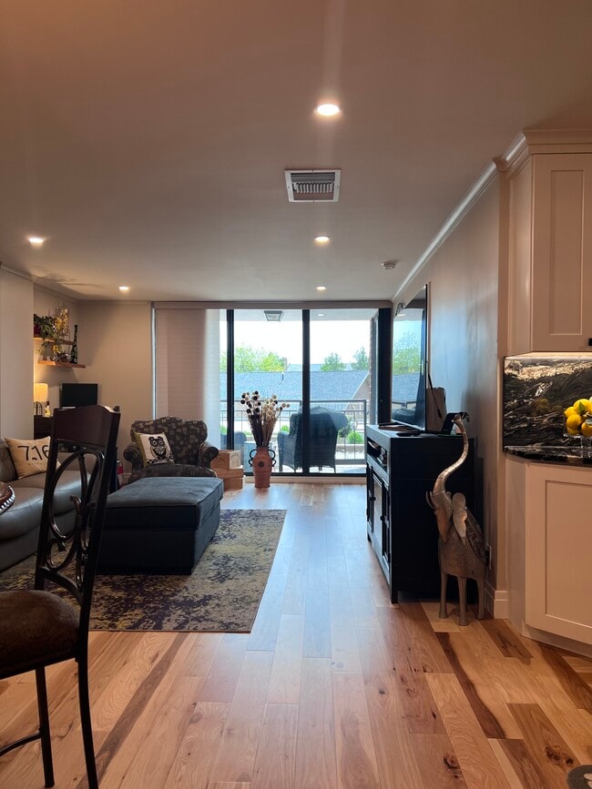 200 Lakefront Blvd unit 205, Buffalo, NY 14202 - photo 4