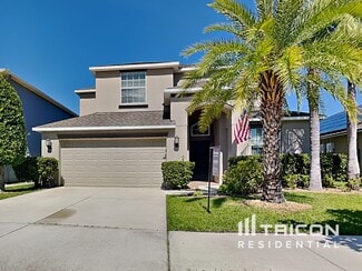 11515 Peru Springs Place, Riverview, FL 33569