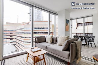50 Causeway St Unit FL7-ID1161, Boston, MA 02114