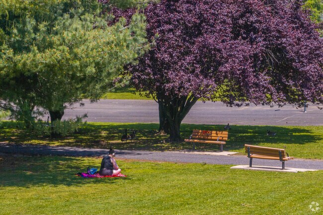 People come and relax in Samuel Nelkin Park in Wallington.