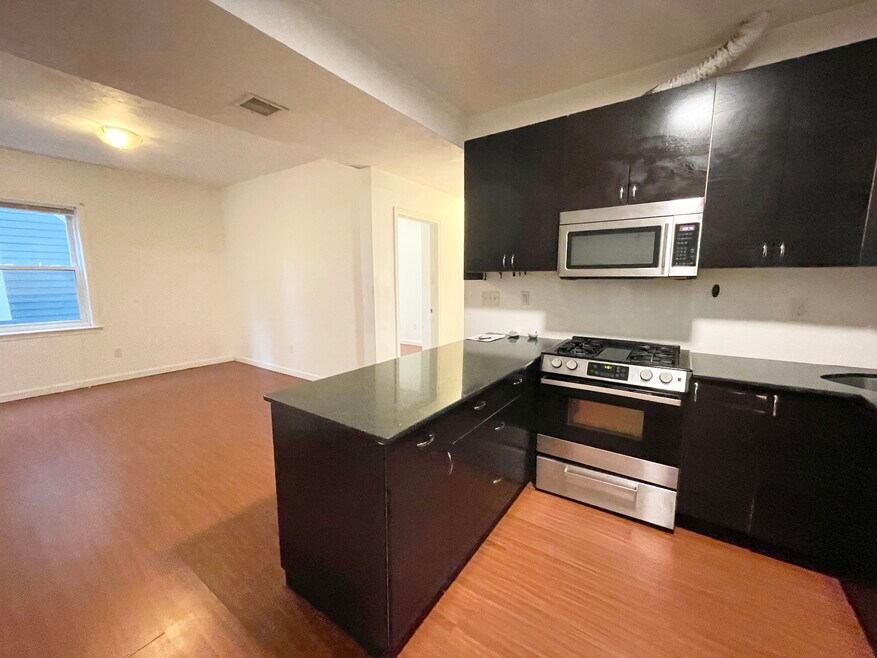 93 Hillside St unit 2, Roxbury Crossing, MA 02120 - photo 1