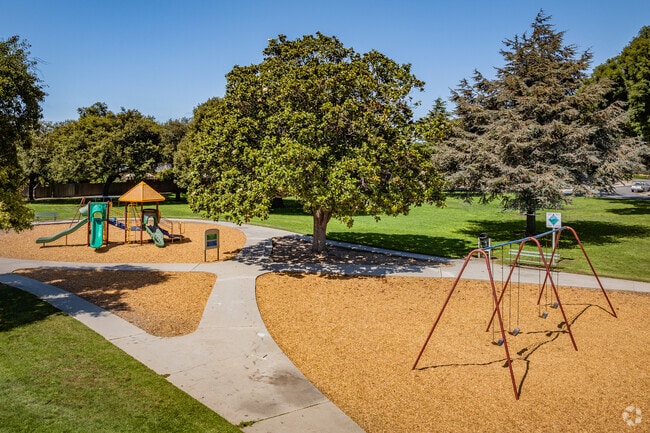 Hartnell Park in South Salinas, California is a great place to swing.