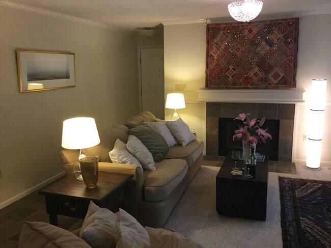 Living Room and Fireplace