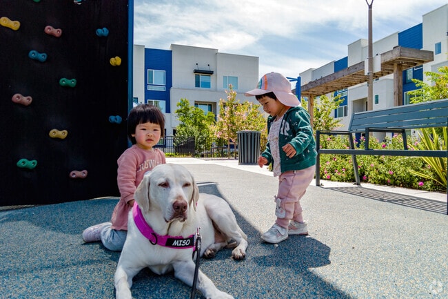 Your kids and pets will love the playground at Delano Manongs Park in Penitencia.