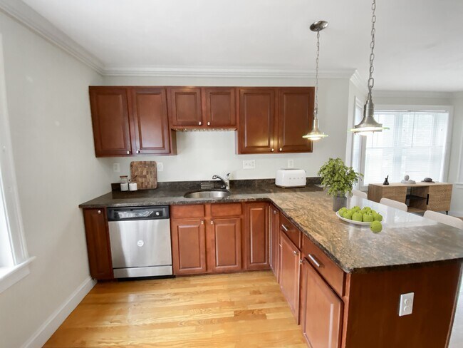 14 Notre Dame St unit 2, Roxbury, MA 02119 - photo 4