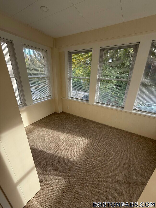 101 Kilsyth Rd, Brighton, MA 02135 - photo 2