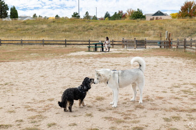 Bring your best friend to Wiggly Field Dog Park in The Meadows neighborhood.